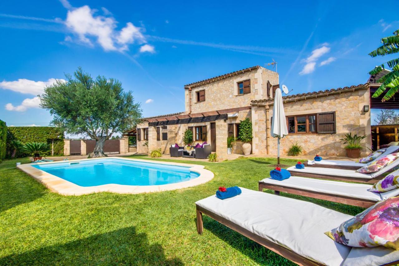 Ideal Property Mallorca - Es Puput 페트라 외부 사진