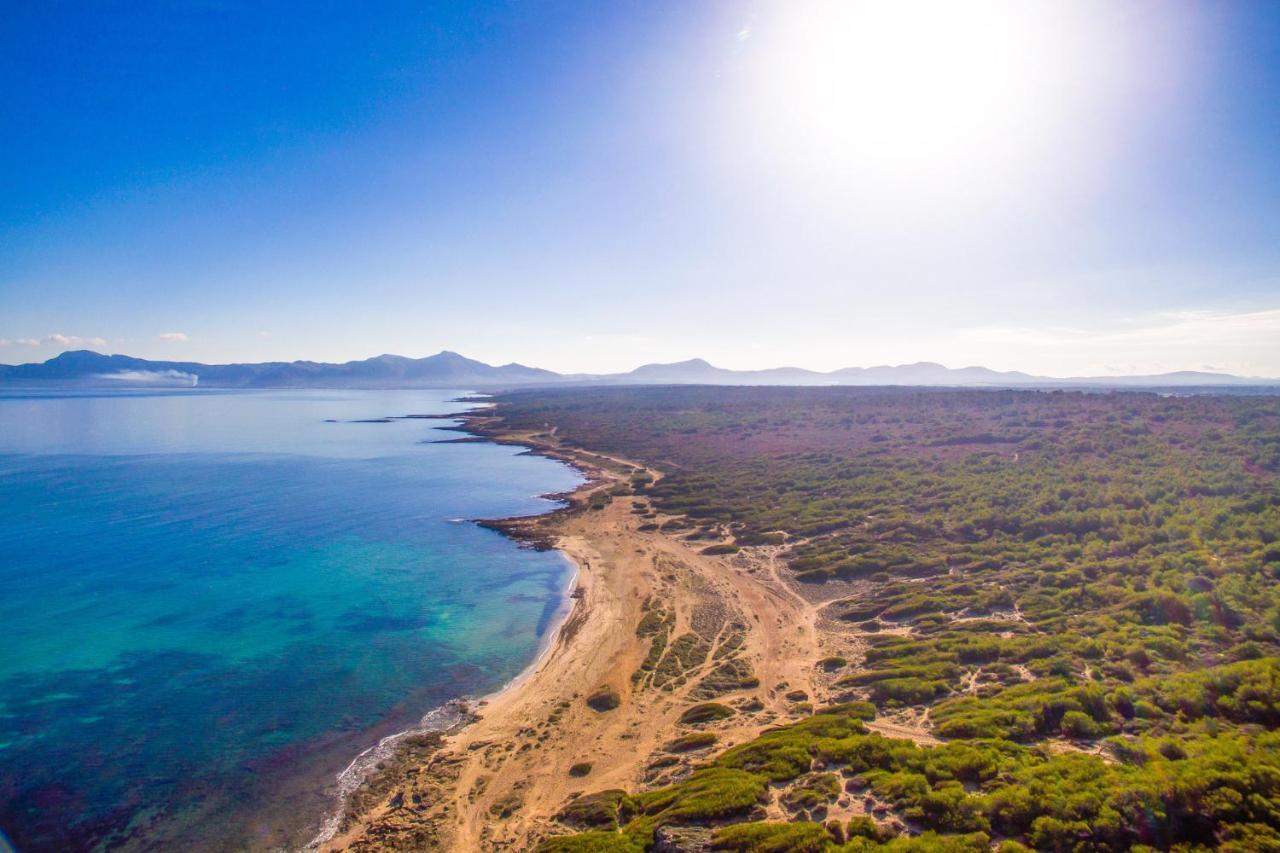 Ideal Property Mallorca - Es Puput 페트라 외부 사진