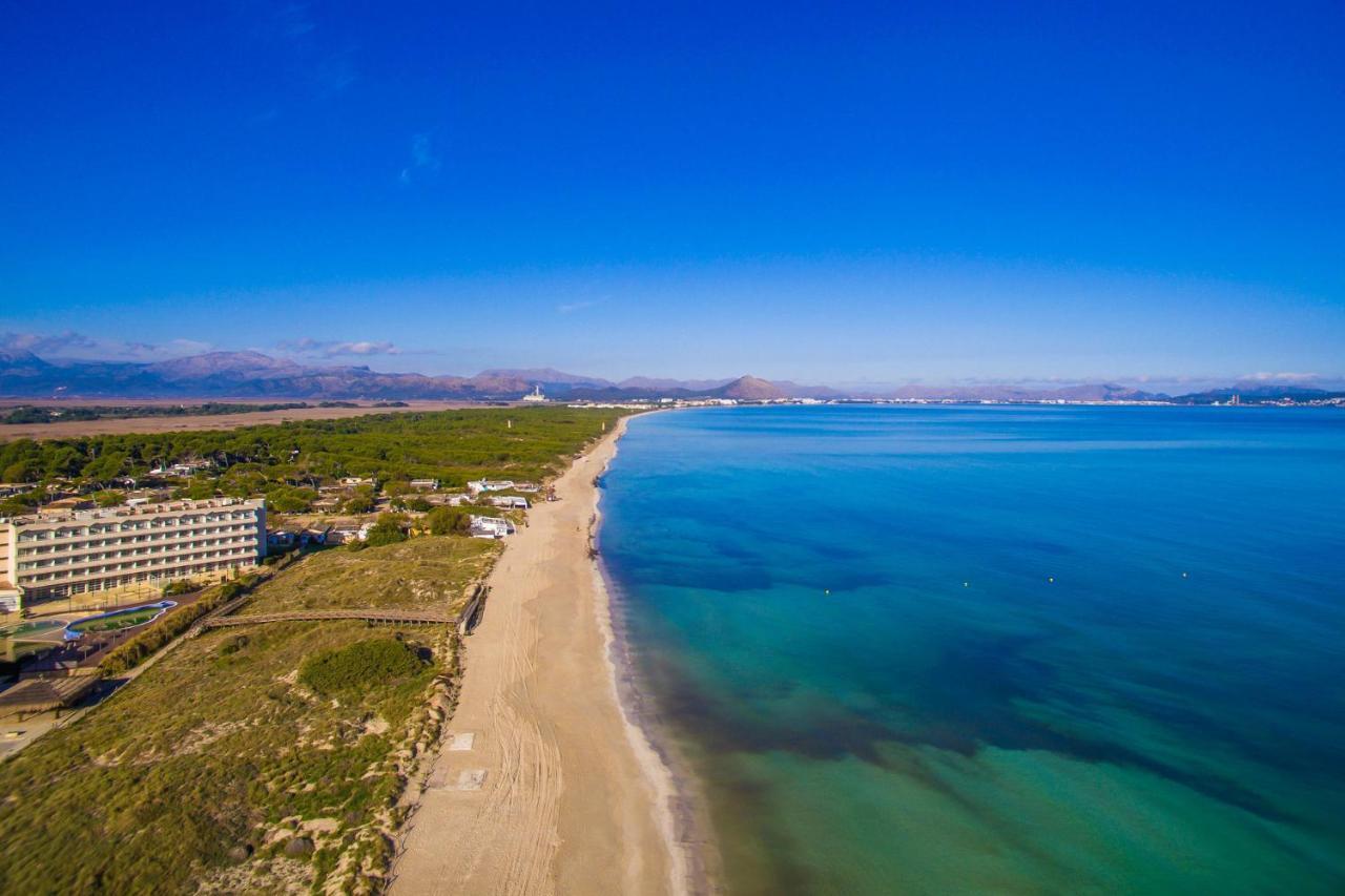 Ideal Property Mallorca - Es Puput 페트라 외부 사진